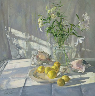 Reflections and Shadows by Timothy Easton